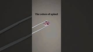 The Many Colors of Spinel shorts [upl. by Croydon]