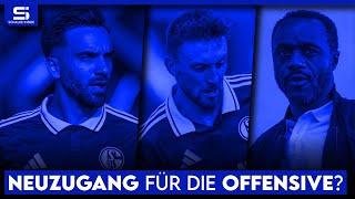 Neuer Zehner im Anflug Wieder Ablöse für Neuzugang 4erKette Mohr in der Startelf  S04 NEWS [upl. by Bevan381]