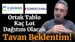 2 Halka Arza Kaç Kişi Katılacak Ortak Tablo Kaç Lot Verecek cgcam smrva Kaç Tavan Yapacak [upl. by Suirtemed]