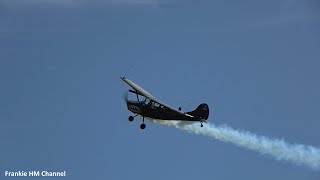 Cessna L19 quotBird Dogquot solo display [upl. by Annairba685]