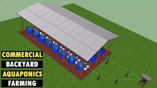 Commercial Backyard Aquaponics Farming Fresh Fish and Vegetables  Aquaponic System [upl. by Ignatius]