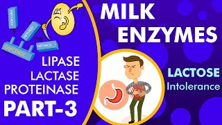 Milk enzymes  Part 3 [upl. by Sarazen764]