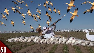 My BEST Snow Goose Hunt YET  Spring Goose Hunting 2022 [upl. by Nesta]