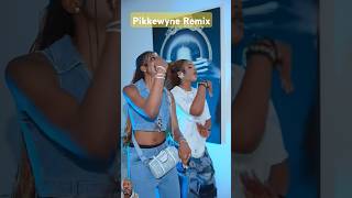 Wow Mega chakie amp Meneer dance challenge [upl. by Karlis]