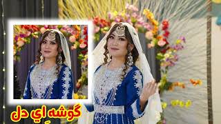 New Hazaragi Ghazal  Gusha e Dil  غزل جدید هزارگی گوشه ای دل [upl. by Adnalay]