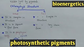 Photosynthetic pigments  Chlorophyll  Class 11 Biology [upl. by Shiroma]