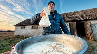 Rustic Goat Cheese Made Simple StepbyStep Guide [upl. by Teerprah]