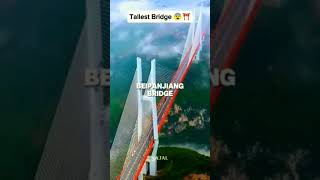 Worlds tallest bridge youtubeshorts ytshorts [upl. by Ynor678]