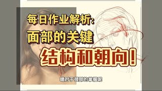 艺术解剖2024｜Facial Adjustments Key Structures and Orientations of the Face [upl. by Ritch]