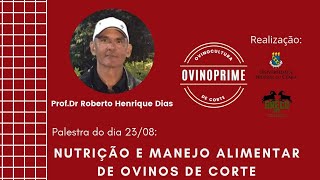 NUTRIÇÃO E MANEJO ALIMENTAR DE OVINOS DE CORTE OvinoPrime [upl. by Irafat]