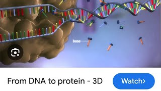 AIIMSampNEET BIOLOGY ampCSIRNET LIFESCIENCESDNARNAampPROTEIN SYNTHESIS [upl. by Ilajna803]