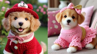 ❤Crochet Charms  Charming Pet Clothes🐶😺 [upl. by Areyk]