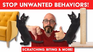 How to Get Your Cats to Stop Everything You Hate Every No Needs a Yes [upl. by Berkeley]