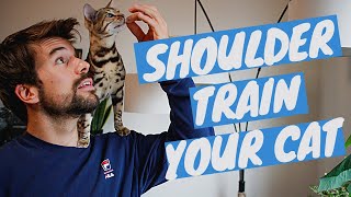 How to TRAIN A CAT TO SIT ON YOUR SHOULDER using clicker training [upl. by Neelak700]