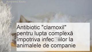 „Clamoxil” instrucțiuni indicații de utilizare și dozarea medicamentului pentru câini și pisici [upl. by Tabor]