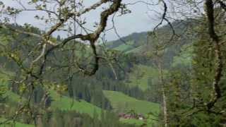 vielfalttv  Ein Bergbauernhof im Emmental [upl. by Tselec]