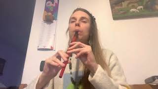 Fields of Athenry Irish tune  Tin whistle [upl. by Adli]