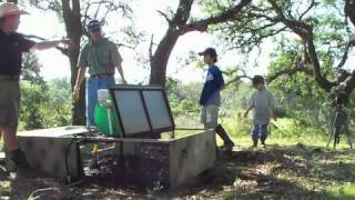 Wild Bobwhite Quail Release 091110 [upl. by Artemis994]