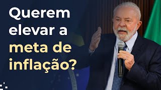 Elevar a meta de inflação para reduzir a taxa de juros o que pode dar errado [upl. by Ydnil]