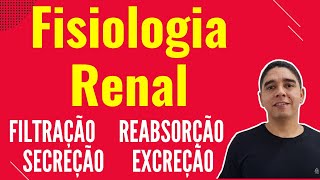 Fisiologia Renal Filtração Reabsorção Secreção e Excreção néfron [upl. by Glick867]