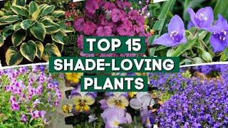 15 ShadeLoving Plants That Are Perfect For Your Garden 👌🌿💚  PlantDo Home amp Garden [upl. by Yssenhguahs]