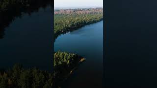 Rėkyvos ežero pietinė pakrantė The southern coast of Lake Rekyva SHORTs drone lake [upl. by Auop]