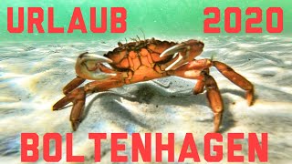 2 Minutes of Urlaub Boltenhagen 2020 [upl. by Yekcir]