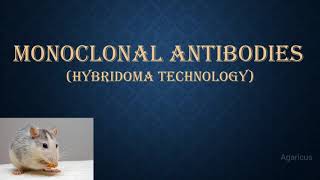 MONOCLONAL ANTIBODIES  MONOCLONAL ANTIBODY PRODUCTION USING HYBRIDOMA TECHNOLOGY [upl. by Alat]