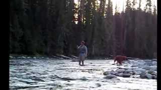 Fly Fishing on the Lochsa River [upl. by Mitchiner]