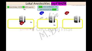 Lokal Anesteziklerin Etki Mekanizması [upl. by Aleahcim170]