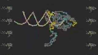 Leucine Zipper FOS and AP1 Bound to DNA [upl. by Llerruj641]