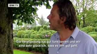 Der Landschaftsdesigner Enzo Enea  Video des Tages [upl. by Ivens968]