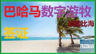 巴哈马数字游牧签证项目  旅游攻略 巴哈马旅游 数字游牧签证  有CC繁体字幕 [upl. by Annohs]