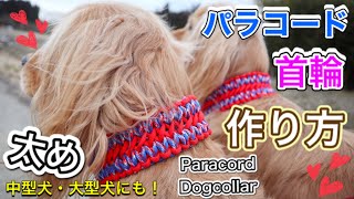 パラコードで犬の首輪の編み方【幅広・太め】大型犬にもおすすめのドッグカラーを手作り paracord dog collar diy 【wide solomon】tutorial [upl. by Bruni]