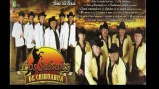 Los Salvajes de Chihuahua  Mi Nueva Cumbia [upl. by Colb]