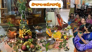 పొలాల అమావాస్య పూజ 🙏  vineeshaofficial  Festival  puja  blessed 🙏 [upl. by Assilev906]