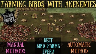 The Best Bird Farms Ever  Farming Birds With Anenemies  Dont Starve Together Guide [upl. by Guzel]