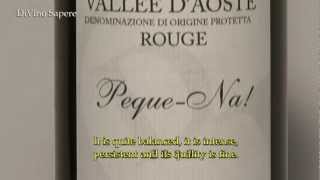 PequeNa DOP 2009 Vallée dAoste  Gerbelle Didier  Videodegustazione Online wine tasting [upl. by Ellerrad59]