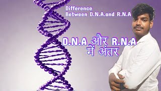 DNA और RNA में अंतर  Differences Between DNA and RNA  Wifi Book dna rna neet boardexam class [upl. by Rosmunda227]