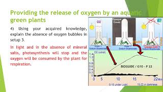 05 Biology G10  Autotrophy and Photosynthesis  W05 [upl. by Anawik]