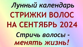 Лунный календарь СТРИЖКИ волос на сентябрь 2024 Благоприятные и неблагоприятные дни [upl. by Anahir658]