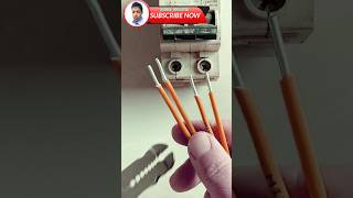 How to connect four electrical wires to a circuit breaker at once electricity shorts 🇺🇲🇷🇺🇰🇷🇮🇳🇩🇪👍💪💡 [upl. by Bevis]