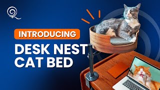 Desk Nest  Your Cats Cozy Bed That Attaches To Your Desk [upl. by Wallace273]