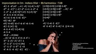 practice Improvisation in Cm  Indiara Sfair – Bb harmonica –TAB with Backing track [upl. by Nala996]