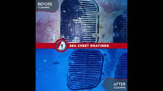 Sea Chest Gratings Before amp After Cleaning  DIVING STATUS [upl. by Airlia]