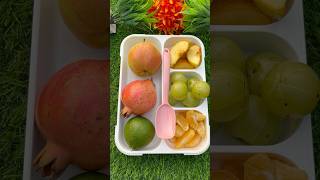 LUNCH Box ideas frooti chocolate lunchboxideas youtubeshorts trendingshorts viral short [upl. by Haim]