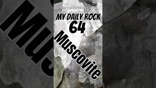 My Daily Rock 64 Muscovite Mica Where it Gets its Shine geology rockhounding rocksandminerals [upl. by Subocaj]