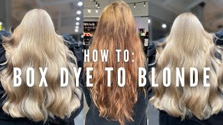 Hair Disaster Transforming Box dye to Blonde in one appointment with no breakage  tutorial [upl. by Schargel]