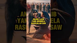 Anjing ajaib yang membela Rasulullah SAW penuhhikmah kisahislami [upl. by Dnama]