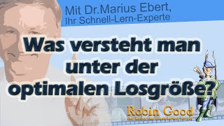 Was versteht man unter der optimalen Losgröße [upl. by Lucita810]